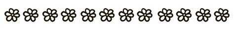 Flower Divider PNG Photo PNG All