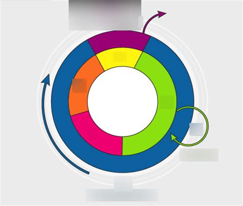 3. Zellzyklus Diagram | Quizlet