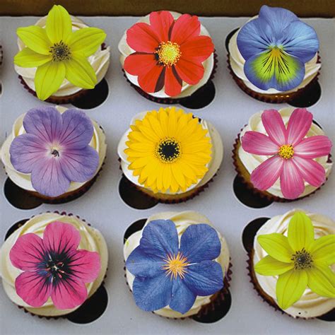 Amazon.com: 77x Edible Flowers for Cake Decorating Cupcake Toppers for ...