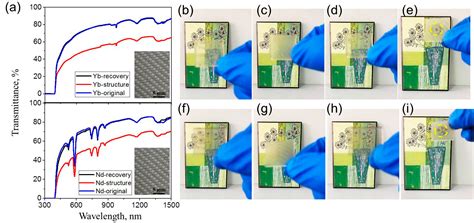 Polymers Free Full Text Synthesis And Study Of Shape Memory