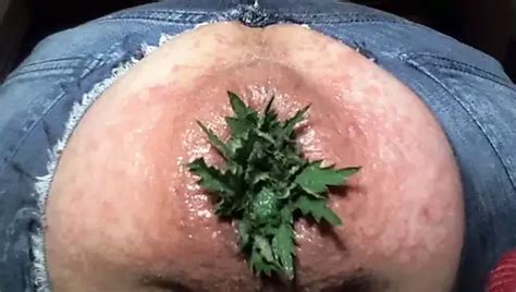 Ffickbbare Electric Toothbrush Anal Xhamster