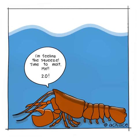 How do Lobsters Grow? All about Lobster Molting