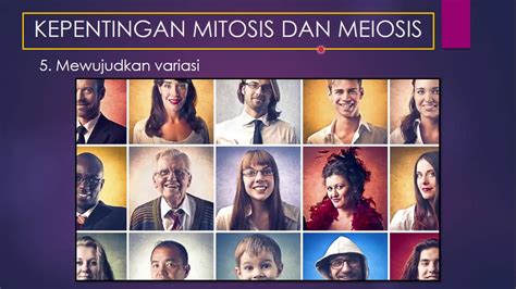 Sains Tingkatan Kssm I Bab I Perbezaan Mitosis Dan Meiosis