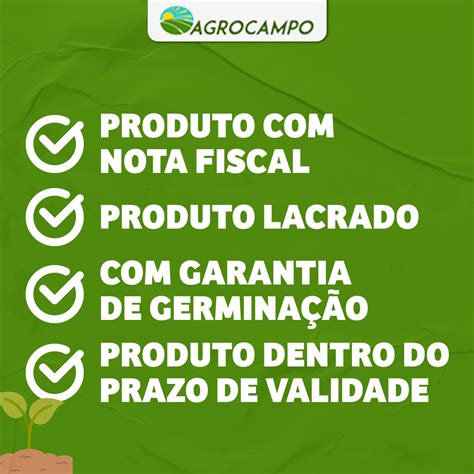 Semente Milho H Brido Agrisure Feroz Vip Forrageiro Agrocampo