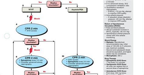 Printable Acls Algorithms Cheat Sheets