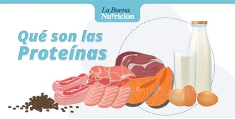 Conoce Los Alimentos Que Contienen Proteínas La Buena Nutrición