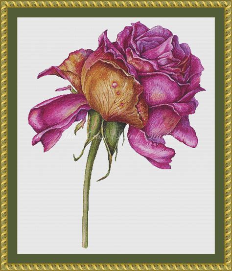 Floral Full Coverage Cross Stitch Patterns The Cross Stitch Studio