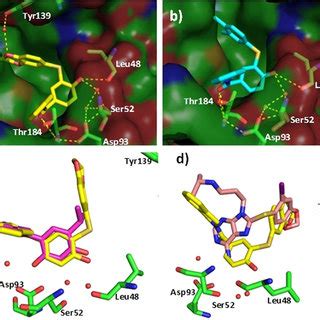 A Co Crystal Structure Of 12 B With Hsp90a PDB Code 7LSZ B