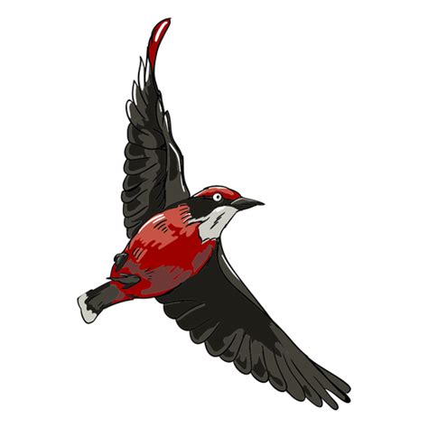 Red Realistic Bird Flying Illustration PNG & SVG Design For T-Shirts