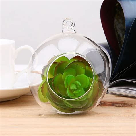 Buy Terrarium Ball Globe Shape Clear Hanging Glass Vase Flower Plants Container