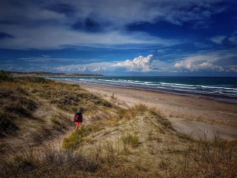 Descubrir Imagen Playas Doradas Temperatura Del Agua Viaterra Mx