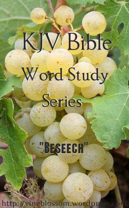 Beseech Kjv Bible Word Study Series Bible Words Word Study