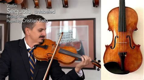 Sequoia Violin Unlabeled With One Piece Back Cristian Fatu At The Metzler Violin Shop