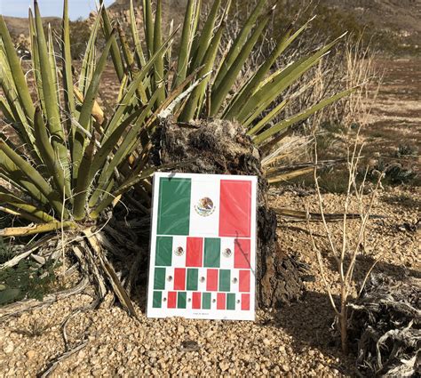 Mexico Flag Sticker, Weatherproof Vinyl Mexican Flag Stickers ...