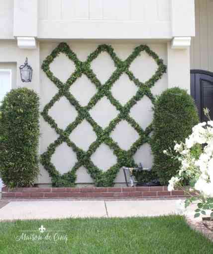 Creating Stunning Walls with Jasmine Espalier - Riveal