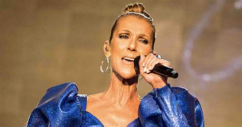 Celine Dion Shows Up At A Las Vegas Hockey Match Seen In New Pictures