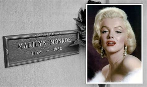 Marilyn Monroe ‘not Deliberately Killed But Death Covered Up Celebrity News Showbiz And Tv