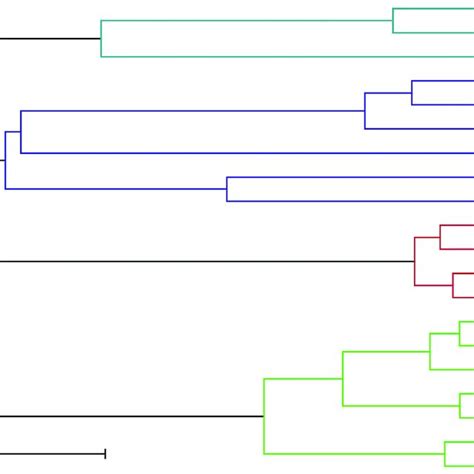 Whole Genome Phylogenetic Tree Based On AP ANI Reveals Distinct