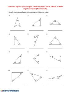 Classifying Triangles By Angles Worksheets Angleworksheets