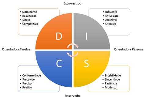 Mapeamento De Perfil Comportamental Sociedade Psicanal Tica Mente