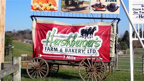 Hershberger Farm And Bakery Millersburg 2021 All You Need To Know