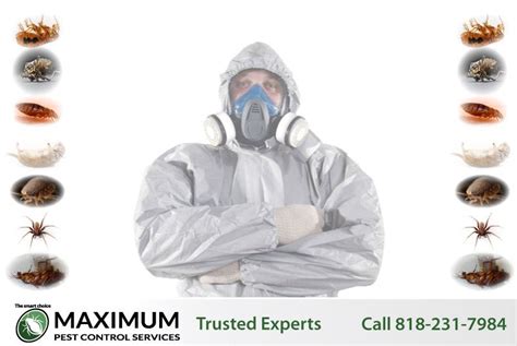 Maximum Pest Control Services Affordable Pest Control Solutions