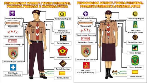 Seragam Pramuka Penegak Putra