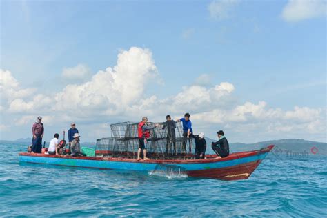 Pt Timah Tbk Bersama Kelompok Nelayan Ridho Ilahi Bersatu Tenggelamkan