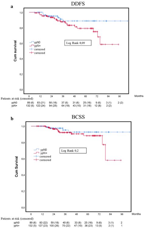 A Distant Disease Free Survival Ddfs And B Breast Cancer Specific Download Scientific Diagram