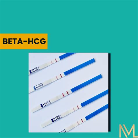 Exame Beta HCG Entenda Como Funciona Verloop Io