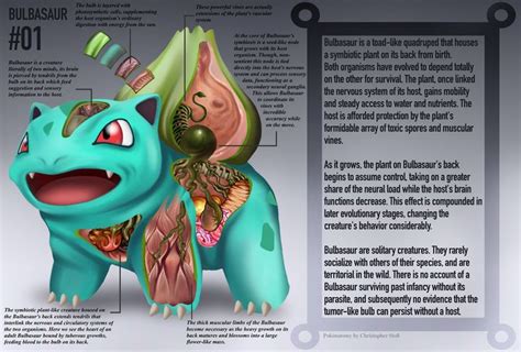 Bulbasaur Anatomy Pokedex Entry By Christopher Stoll On DeviantArt