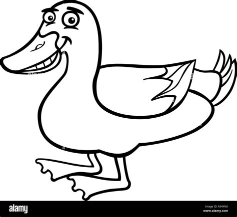 Drawing Duck Black And White Stock Photos And Images Page 2 Alamy