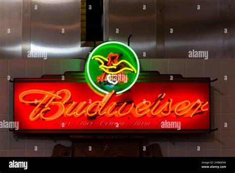 Illuminated Neon Sign For Budweiser Beer Stock Photo Alamy