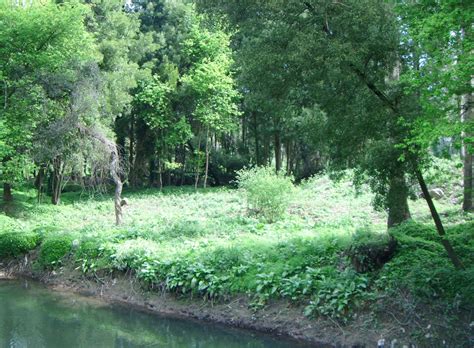 Convite Planta O No Futuro Parque Fluvial Do Le A Maia Futuro