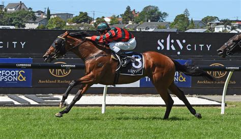 Auckland Racing Club Ellerslie Racecourse