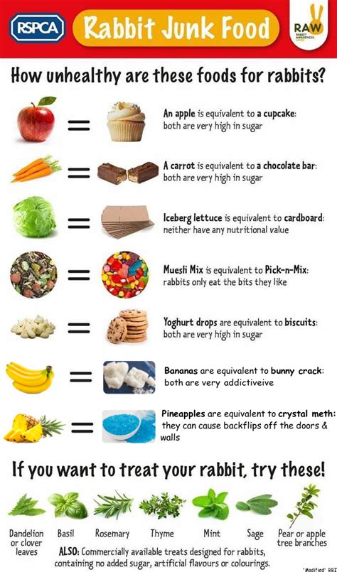 Rabbit Junk Food Chart. : r/Rabbits