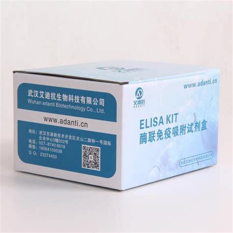 小鼠白介素1β（il 1β）elisa试剂盒 厂家直销