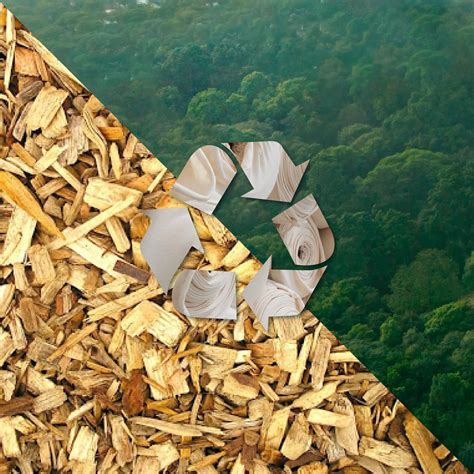 Discover the Most Sustainable Synthetic Fabrics