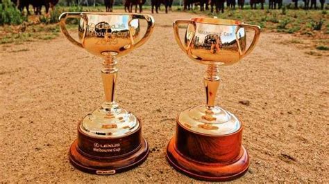 Photos Melbourne Cups Come To Grafton Daily Telegraph