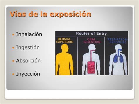 PPT 29 CFR 1910 1200 Comunicación de riesgos PowerPoint Presentation