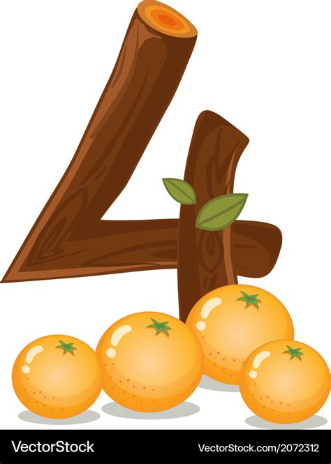 Four oranges Royalty Free Vector Image - VectorStock