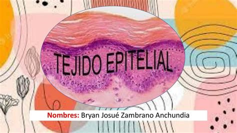 Tejido Epitelial Bryan Josue Zambrano Anchundia Udocz