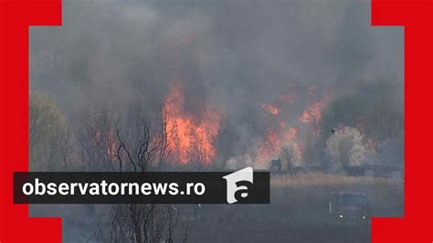 Incendiu Puternic N Delta V C Re Ti Fl C Rile Au Cuprins Peste