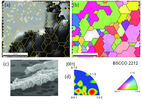 EBSD Mapping On A Nanowire Section The Map A Is An Image Quality