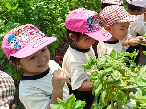 Kelompok Bermain And Taman Kanak Kanak Perhimpunan Pendidikan Dan