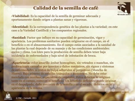 Producción y distribución de semillas de variedades de café mejoradas PPT