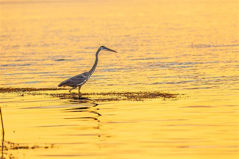 Sunset Fishing Photograph By Garth Steger Fine Art America