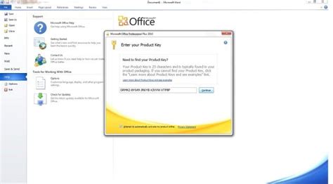 Ms office professional plus 2010 license key - roomsoho