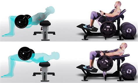 Best Exercise Machine For Bigger Glutes At The Gym A Complete Guide Cardio Workout Exercises