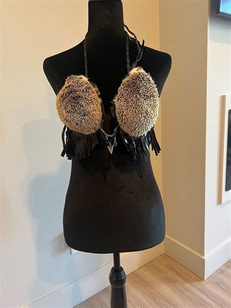 Real Hedgehog Bra Taxidermy Mount Bikini Etsy